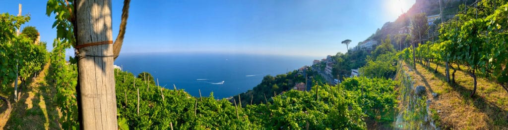 Viticoltura Eroica in costa d'Amalfi sui pendii dei Monti Lattari nella cantina di Marisa Cuomo